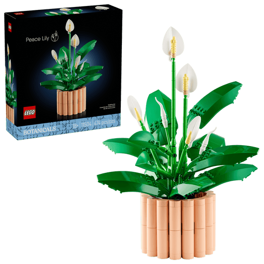 11504 - Lepelplant